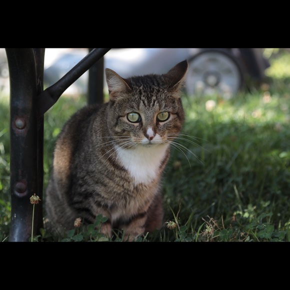 Meet your Posher, John - Picture 1 of 1